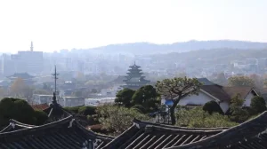 Digital Nightlife: The Best High-Tech Bars and Immersive Clubs in Gangnam.