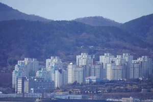 Jeju Workation: Why Seogwipo is the New Global Remote Work Capital