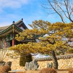 K-Life Tourism: How to Experience the Authentic Daily Rhythms of Korea