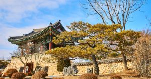 K-Life Tourism: How to Experience the Authentic Daily Rhythms of Korea