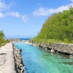 Q-Code Setup: How to Pre-Register Your Health Info to Skip Airport Lines