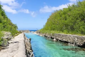 Q-Code Setup: How to Pre-Register Your Health Info to Skip Airport Lines