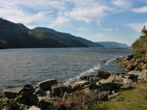 The K-ETA Scam Alert: How to Spot Fake Government Websites