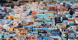 Damyang Bamboo Forest: Peace, Quiet, and Traditional Tea