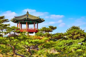 Gyeongju Day Trip from Busan: Your Essential Itinerary &amp; Highlights