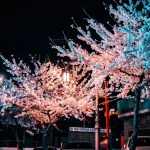 How to Spend 2 Days in Gyeongju: Temples, Tombs &amp; Traditional Charm