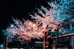 How to Spend 2 Days in Gyeongju: Temples, Tombs &amp; Traditional Charm
