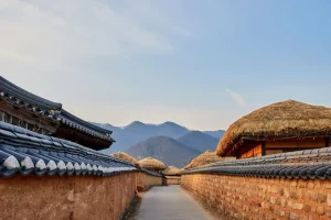 Is Jeonju Worth Visiting? A Foodie’s Guide to Korea’s Cultural Gem