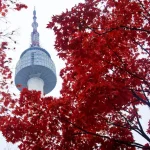 Navigating South Korea’s Public Transport: Essential Tips for April 2026 Travelers