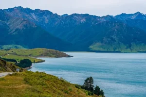 South Korea’s Green Tea Culture: A Refreshing Spring Experience for April 2026 Travelers