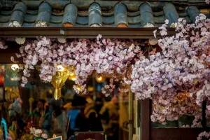 South Korea’s New Digital Nomad Visa: A Game Changer for Long-Term Travelers