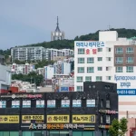 The Busan K-Pass: Saving 50% on Coastal Public Transport This Year.
