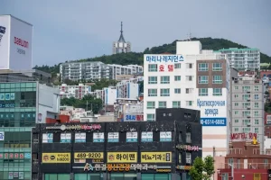 The Busan K-Pass: Saving 50% on Coastal Public Transport This Year.