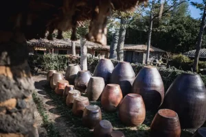 25 Best Things to Do in Jeju Island for First-Time Visitors
