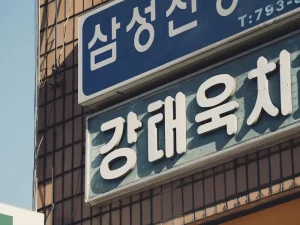 Apple Pay in Korea: Every Major Store and Cafe That Accepts It