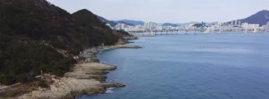 Busan Medical Tourism: A Guide to Wellness Retreats and Skin Clinics.