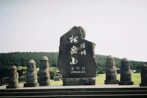Jeju Black Pork vs. Seafood: The Essential Foodie Checklist.