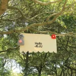 Jeju Island 5-Day Itinerary: The Ultimate First-Timer’s Guide