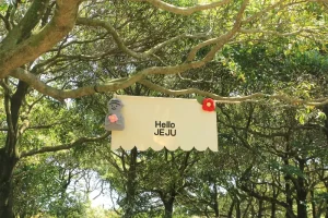 Jeju Island 5-Day Itinerary: The Ultimate First-Timer’s Guide