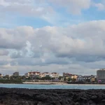 Jeju’s Cafe Scene: Architecture, Ocean Views, and Sustainable Coffee.