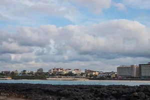 Jeju’s Cafe Scene: Architecture, Ocean Views, and Sustainable Coffee.