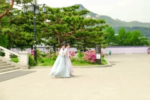 Temple Etiquette: What to Wear and How to Bow at 600-Year-Old Monasteries