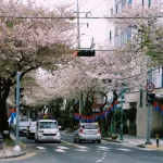 The Eco-Jeju Guide: Electric Car Rentals and Zero-Waste Stays.