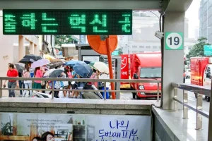 Traditional Markets: How to Pay via QR Code at Gwangjang and Namdaemun