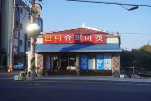 Workation in Seogwipo: Why the South Side is the New Nomad Favorite.