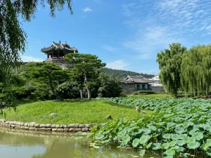 Beyond the Visa: Legal &amp; Tax Considerations for Remote Workers in Korea