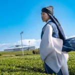 Car Rental or Public Transport? Deciding How to Get Around Jeju Island