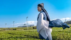 Car Rental or Public Transport? Deciding How to Get Around Jeju Island