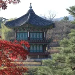 Healthcare in Korea for Foreigners: What Digital Nomads Need to Know