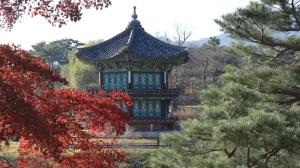 Healthcare in Korea for Foreigners: What Digital Nomads Need to Know
