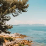 KTX-Eum Guide: The Eco-Friendly Way to Reach Gangneung and Andong