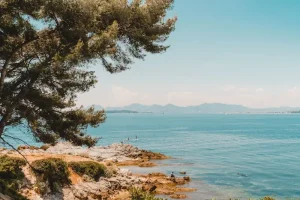 KTX-Eum Guide: The Eco-Friendly Way to Reach Gangneung and Andong