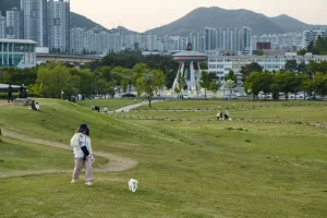Navigating Busan: A Comprehensive Guide to Public Transportation
