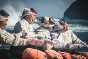 The Perfect 3-Day Jeju Island Itinerary: Must-See Attractions &amp; Experiences