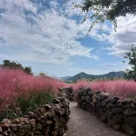The Ultimate Jeju Island Day Trip Itinerary: What to See &amp; Do