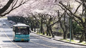 Working Remotely from Korea: The Ultimate Guide for Digital Nomads