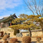 Your Ultimate Korea Digital Nomad Workation Checklist