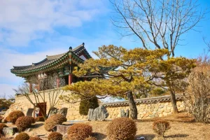 Your Ultimate Korea Digital Nomad Workation Checklist