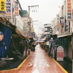 Essential Apps for Digital Nomads Living and Working in Korea