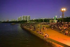Exploring Gangnam: A District Guide to Seoul’s Upscale Side