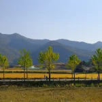 How to Book KTX Tickets in Korea: A Step-by-Step Guide