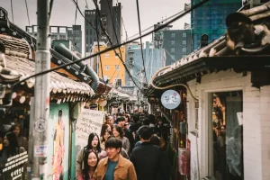 Is Korea the Best Digital Nomad Destination? Pros and Cons Reviewed