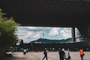 T-Money Card: The Essential Guide for Public Transport &amp; Payments in Korea