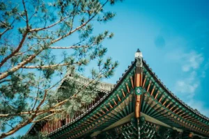 The “Excuse Me” Strategy: Using “Chogiyo” vs. “Sillyehamnida” Correctly