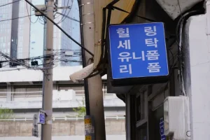 What is WOWPASS? Your Ultimate Guide to Cashless Travel in Korea