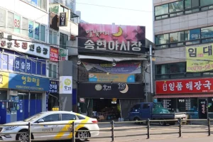 WOWPASS vs T-Money: Which Payment Card is Best for Your Korea Trip?